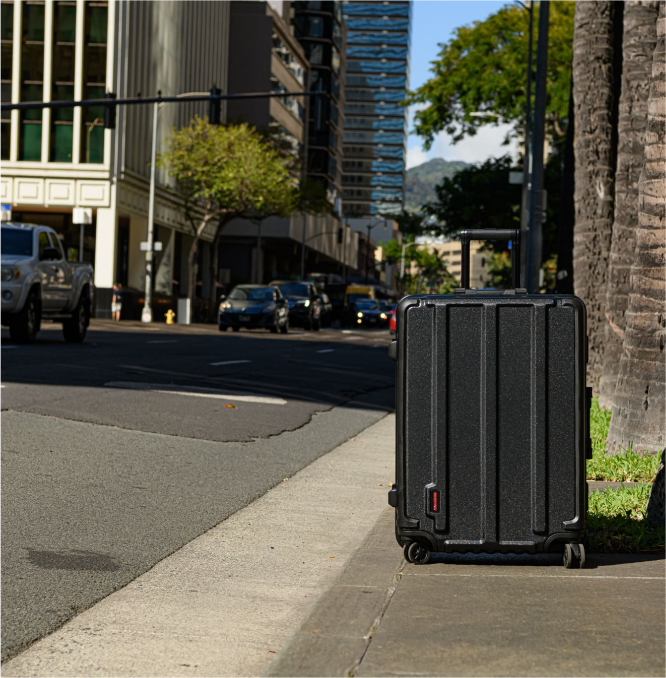 TRAVEL LUGGAGE